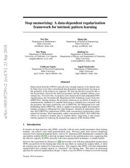 Stop memorizing: A data-dependent regularization framework for intrinsic
  pattern learning