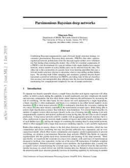 Parsimonious Bayesian deep networks