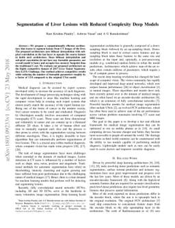 Segmentation of Liver Lesions with Reduced Complexity Deep Models