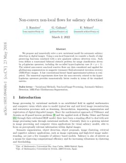 Non-convex non-local flows for saliency detection