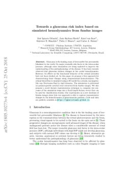 Towards a glaucoma risk index based on simulated hemodynamics from
  fundus images