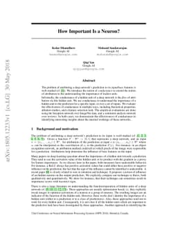 How Important Is a Neuron?