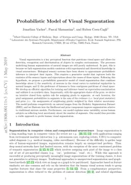 Probabilistic Model of Visual Segmentation