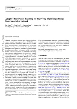 Adaptive Importance Learning for Improving Lightweight Image
  Super-resolution Network