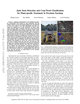 Joint Stem Detection and Crop-Weed Classification for Plant-specific
  Treatment in Precision Farming