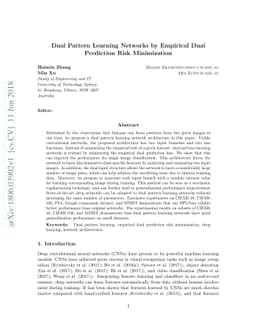 Dual Pattern Learning Networks by Empirical Dual Prediction Risk
  Minimization