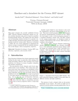 Baselines and a datasheet for the Cerema AWP dataset