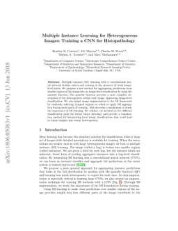 Multiple Instance Learning for Heterogeneous Images: Training a CNN for
  Histopathology