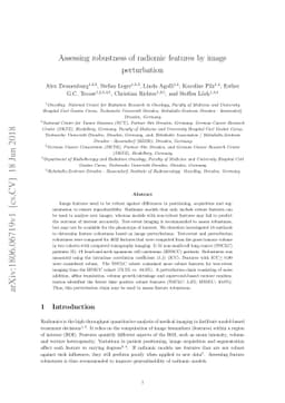Assessing robustness of radiomic features by image perturbation