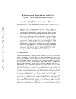 Diffeomorphic brain shape modelling using Gauss-Newton optimisation