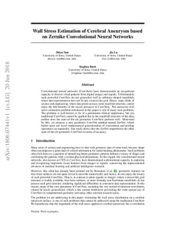 Wall Stress Estimation of Cerebral Aneurysm based on Zernike
  Convolutional Neural Networks