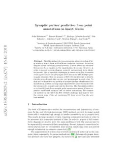 Synaptic partner prediction from point annotations in insect brains