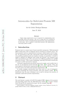 Autoencoders for Multi-Label Prostate MR Segmentation