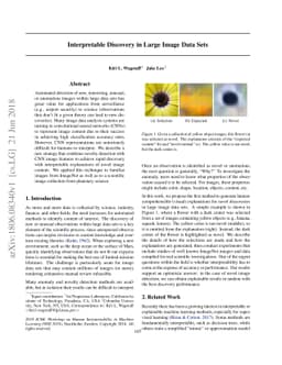 Interpretable Discovery in Large Image Data Sets