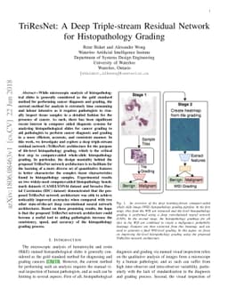 TriResNet: A Deep Triple-stream Residual Network for Histopathology
  Grading