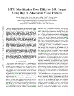 MTBI Identification From Diffusion MR Images Using Bag of Adversarial
  Visual Features