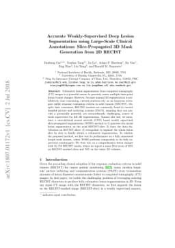 Accurate Weakly-Supervised Deep Lesion Segmentation using Large-Scale
  Clinical Annotations: Slice-Propagated 3D Mask Generation from 2D RECIST
