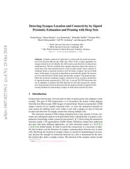 Detecting Synapse Location and Connectivity by Signed Proximity
  Estimation and Pruning with Deep Nets