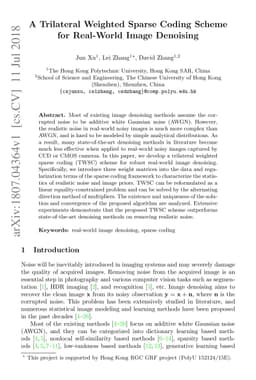 A Trilateral Weighted Sparse Coding Scheme for Real-World Image
  Denoising