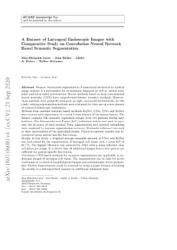 A Dataset of Laryngeal Endoscopic Images with Comparative Study on
  Convolution Neural Network Based Semantic Segmentation