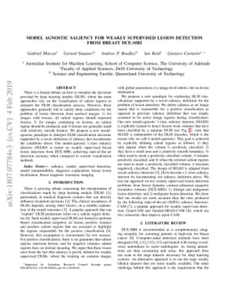 Model Agnostic Saliency for Weakly Supervised Lesion Detection from
  Breast DCE-MRI