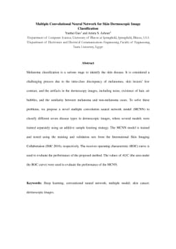 Multiple Convolutional Neural Network for Skin Dermoscopic Image
  Classification