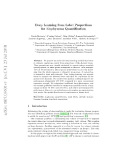 Deep Learning from Label Proportions for Emphysema Quantification