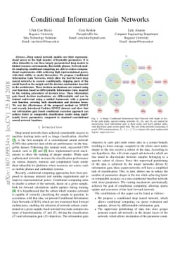 Conditional Information Gain Networks