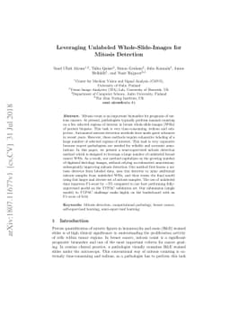 Leveraging Unlabeled Whole-Slide-Images for Mitosis Detection