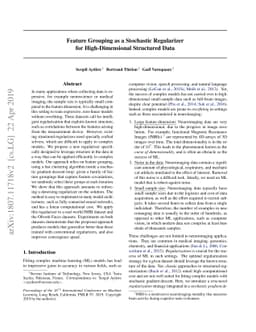 Feature Grouping as a Stochastic Regularizer for High-Dimensional
  Structured Data