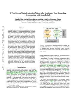 A Two-Stream Mutual Attention Network for Semi-supervised Biomedical
  Segmentation with Noisy Labels