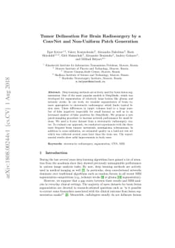 Tumor Delineation For Brain Radiosurgery by a ConvNet and Non-Uniform
  Patch Generation