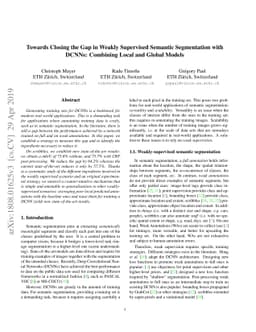 Towards Closing the Gap in Weakly Supervised Semantic Segmentation with
  DCNNs: Combining Local and Global Models