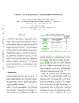 Efficient Fusion of Sparse and Complementary Convolutions