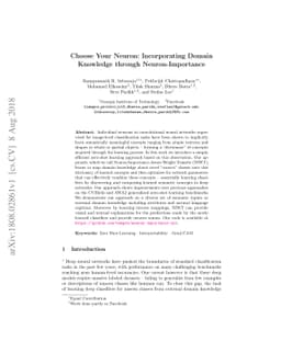 Choose Your Neuron: Incorporating Domain Knowledge through
  Neuron-Importance