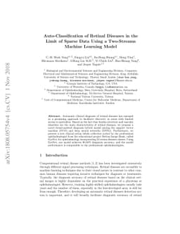 Auto-Classification of Retinal Diseases in the Limit of Sparse Data
  Using a Two-Streams Machine Learning Model