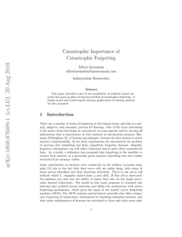 Catastrophic Importance of Catastrophic Forgetting
