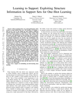 Learning to Support: Exploiting Structure Information in Support Sets
  for One-Shot Learning