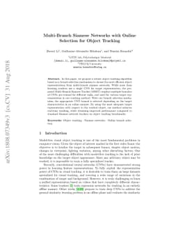 Multi-Branch Siamese Networks with Online Selection for Object Tracking