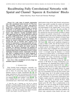 Recalibrating Fully Convolutional Networks with Spatial and Channel
  'Squeeze & Excitation' Blocks