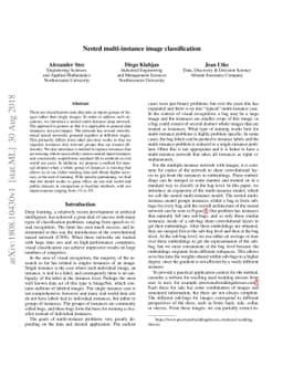 Nested multi-instance classification