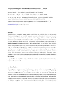 Image computing for fibre-bundle endomicroscopy: A review