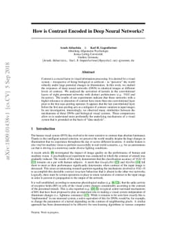 How is Contrast Encoded in Deep Neural Networks?