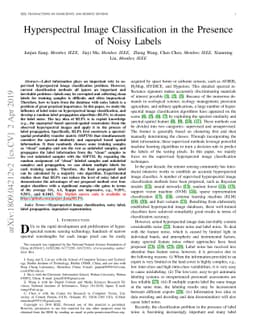 Hyperspectral Image Classification in the Presence of Noisy Labels