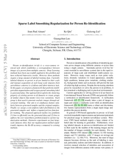 Sparse Label Smoothing Regularization for Person Re-Identification