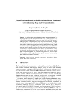Identification of multi-scale hierarchical brain functional networks
  using deep matrix factorization