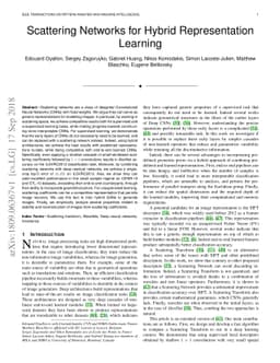 Scattering Networks for Hybrid Representation Learning