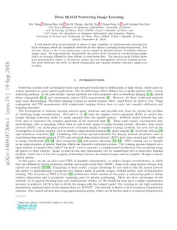 Deep Hybrid Scattering Image Learning