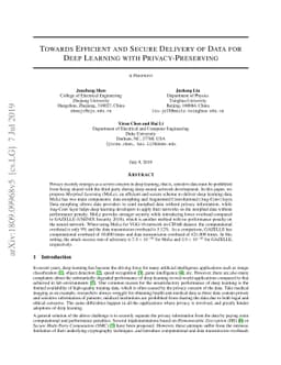 Towards Efficient and Secure Delivery of Data for Training and Inference
  with Privacy-Preserving