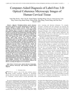 Computer-Aided Diagnosis of Label-Free 3-D Optical Coherence Microscopy
  Images of Human Cervical Tissue